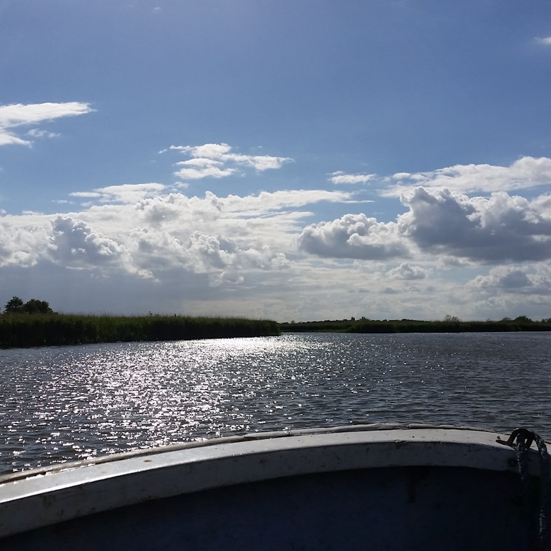 NWT Children’s Wildlife Watch - Boats on the Broad, NWT Hickling BroadStubb RoadHicklingNR12 0BW | What better way to see the broads than on a boat?  | Boat trip, nature, wildlife, Norfolk Broads