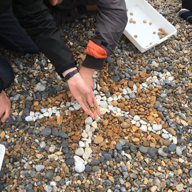 Coastal Creations, NWT Holme DunesBroadwater LaneHolme next-the seaPE36 6LQ | Why not come and join in with a strandline scavenge to find natural materials before using them to decorate your own coastal creations.  | Beach, nature, art, sustainability, North Norfolk coast