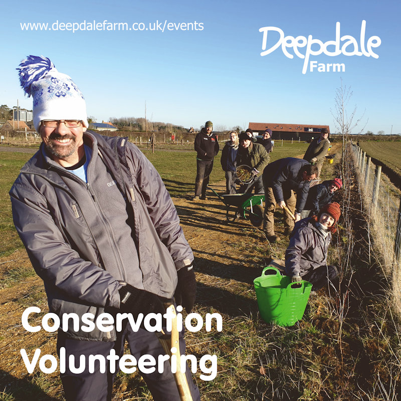 Deepdale Conservation Volunteering | Join us on the farm. Spend time outdoors, get some exercise, meet people and make a difference for wildlife. - Dalegate Market | Shopping & Café, Burnham Deepdale, North Norfolk Coast, England, UK