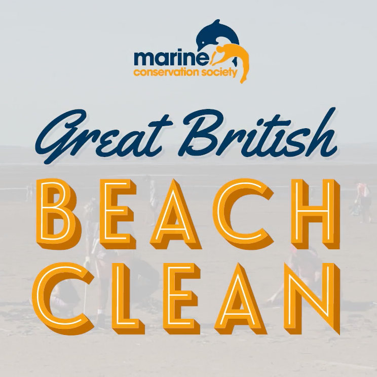 Great British Beach Clean, Pick a beach, pick an area | Help the evironment this September, by joining the Marine Conservation Society for the Great British Beach Clean, a week of citizen science. | beach, clean, great, british, marine, conservation, society
