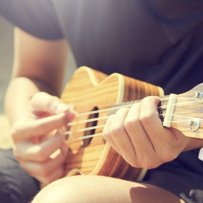 P.Uke - Punk Ukulele for Beginners - Saturday - Deepdale Festival | 22nd to 25th September 2022 - The Good Earth Collective will be running this workshop. Bring your own ukulele or borrow one of the bands.