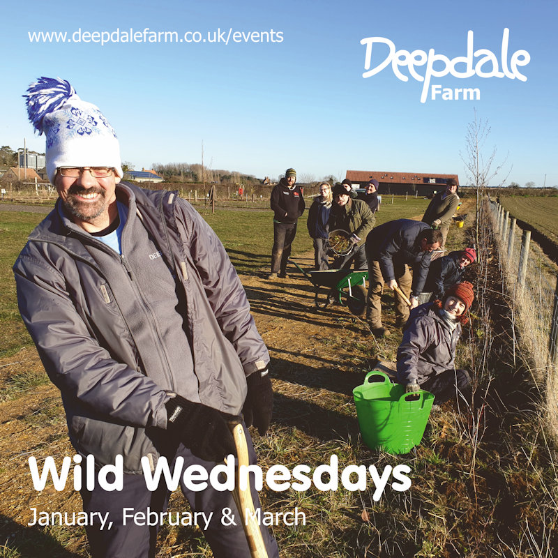 Wild Wednesday - Deepdale Conservation | Join us on the farm. Spend time outdoors, get some exercise, meet people and make a difference for wildlife. - Dalegate Market | Shopping & Café, Burnham Deepdale, North Norfolk Coast, England, UK