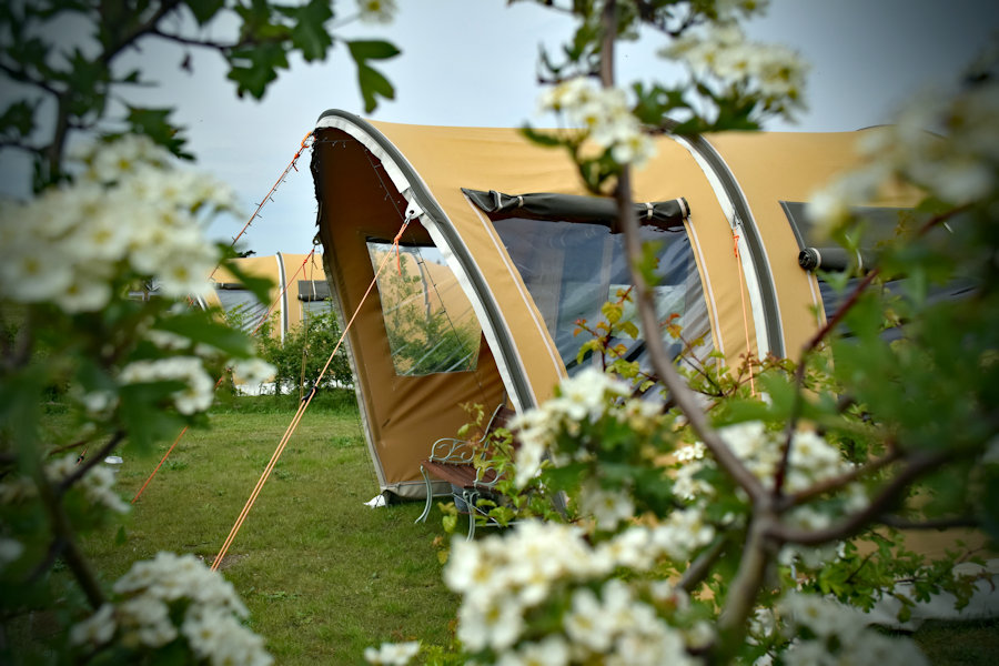 Glamping, Posh Camping & Hassle Free Camping in Safari Tents at Deepdale Camping & Rooms from MarGins